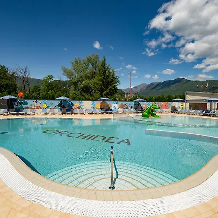 & Orchidea 바메노