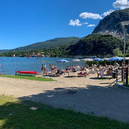 & Orchidea 바메노