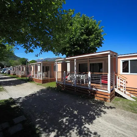 & Orchidea 바메노