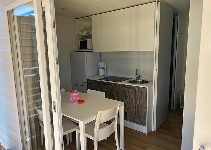 & Orchidea بافينو