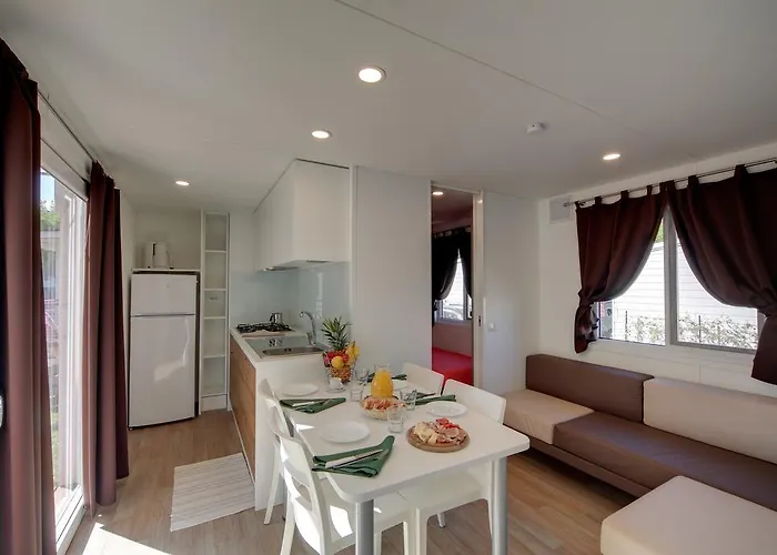 & Orchidea بافينو